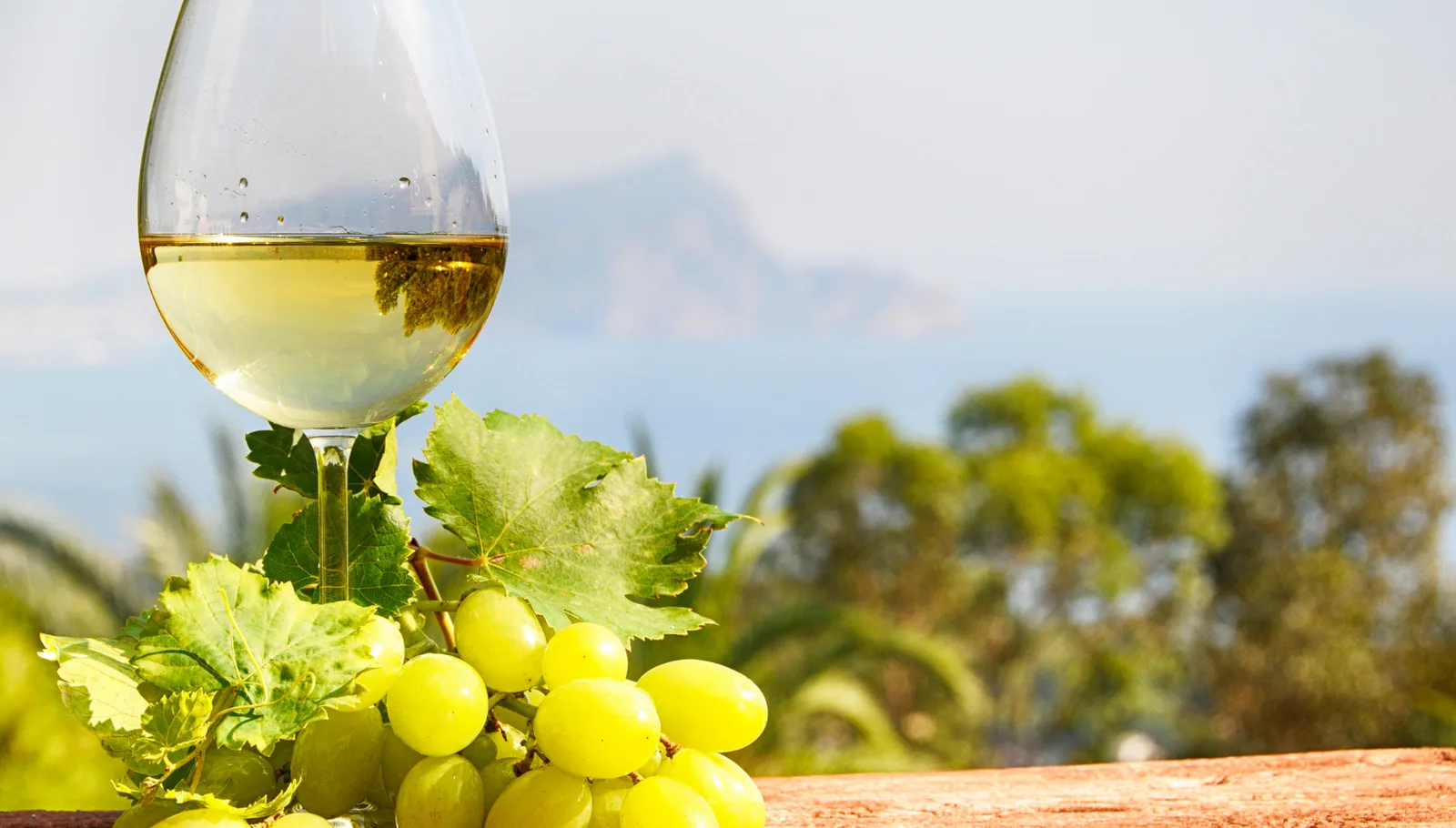 vin de savoie la molette