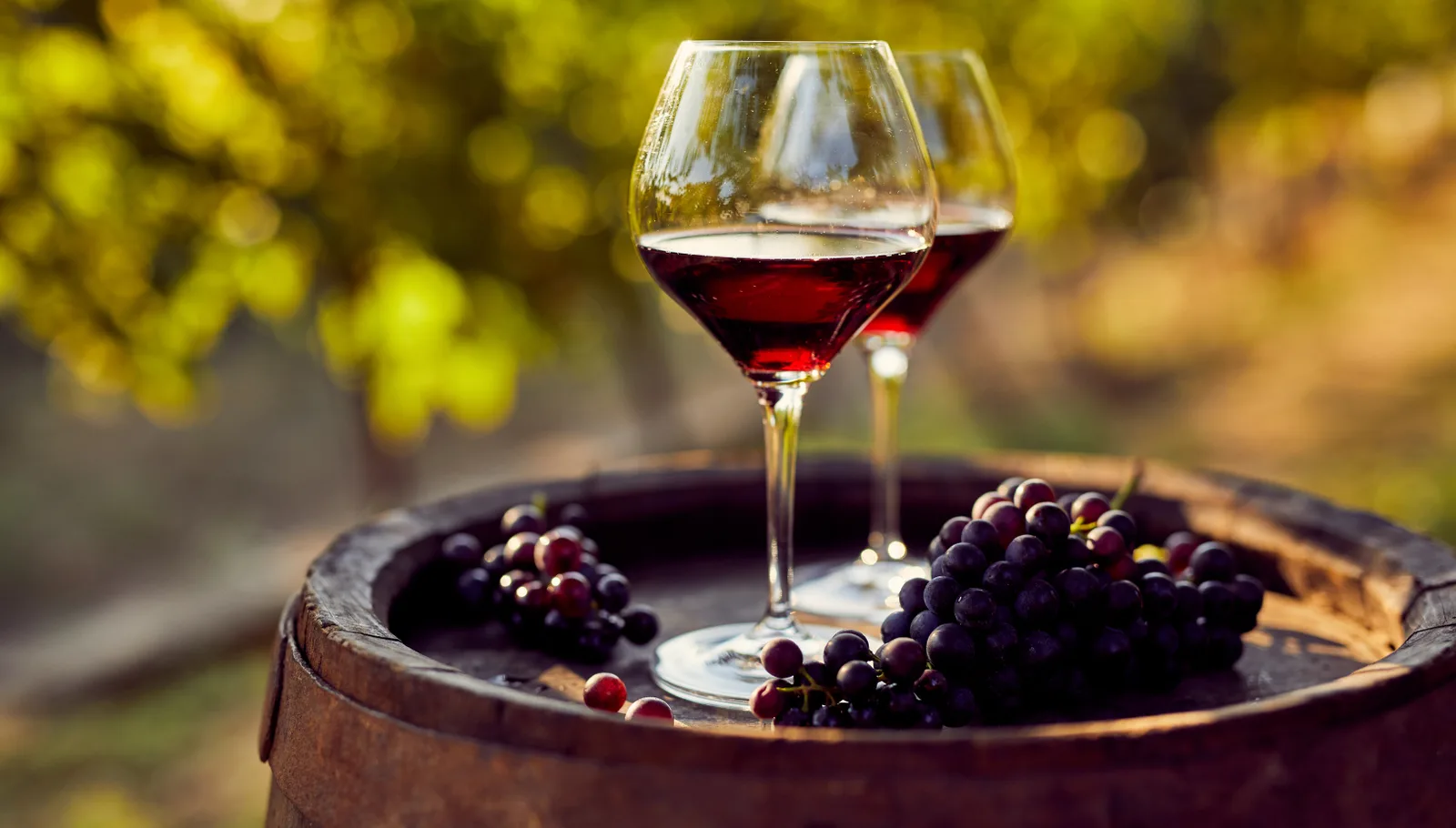 Mondeuse 1