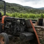 Vendre ses bouteilles pour sauver les vignes