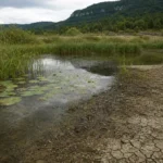 Face aux étés plus secs, le Bugey Sud mise sur ses marais
