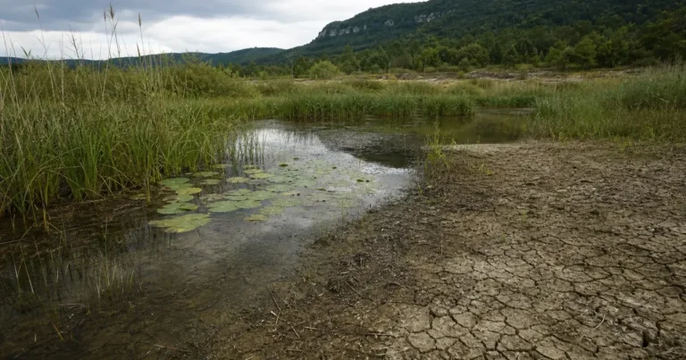Face aux étés plus secs, le Bugey Sud mise sur ses marais