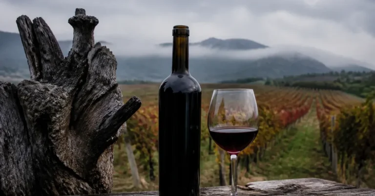 L’arbre de l’Aéropostale disparu qui a donné son nom à un vin