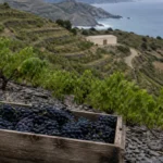 Le GICB devient Terrasses Vermeilles