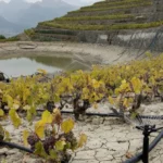 69 000 hectares irrigués