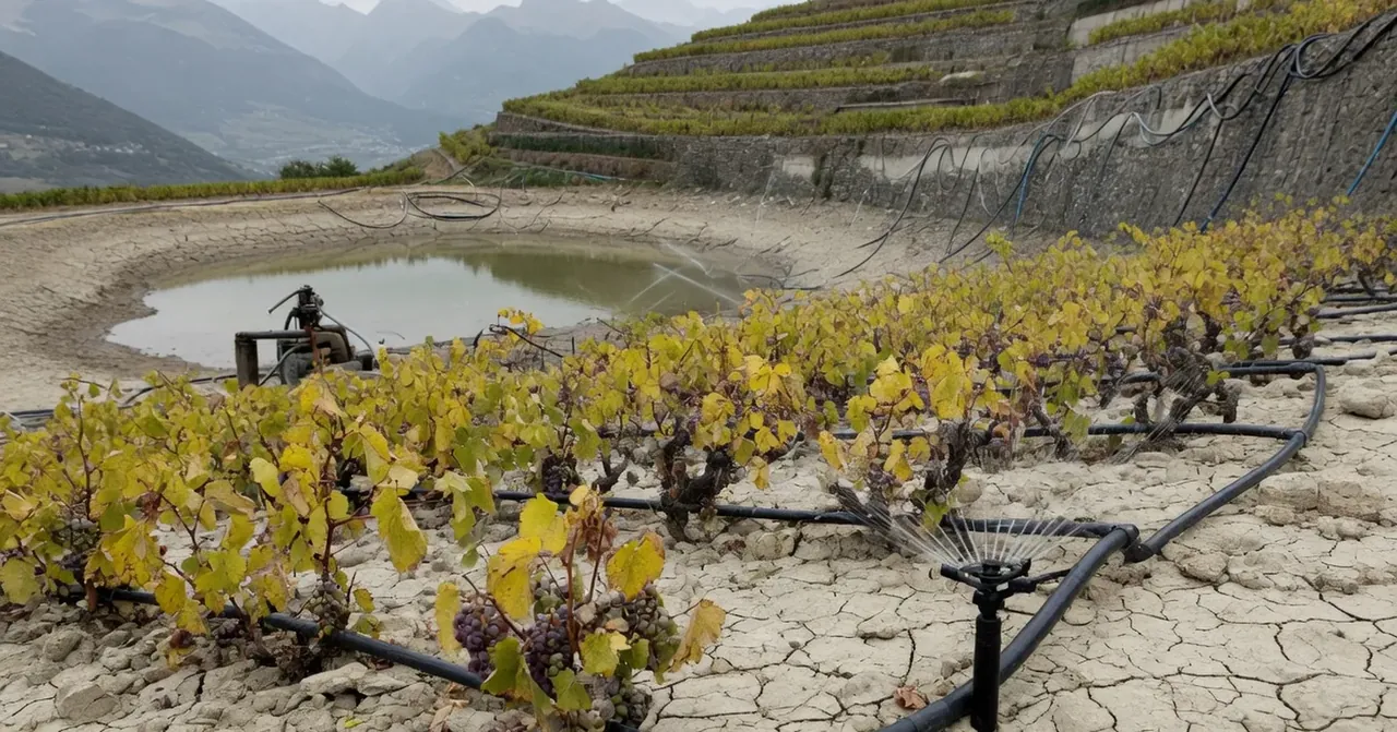 69 000 hectares irrigués